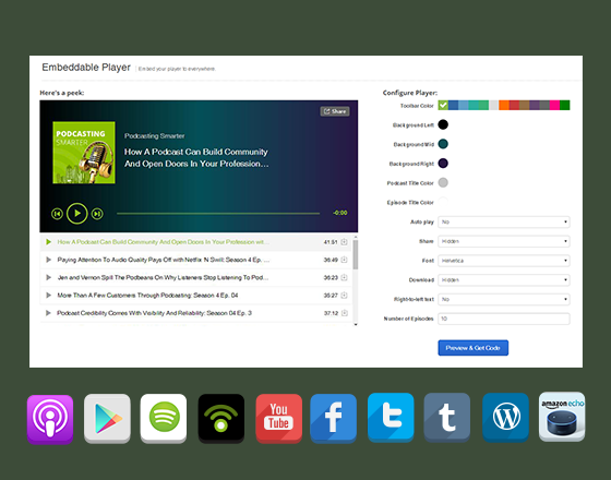 Distribution & Promotion